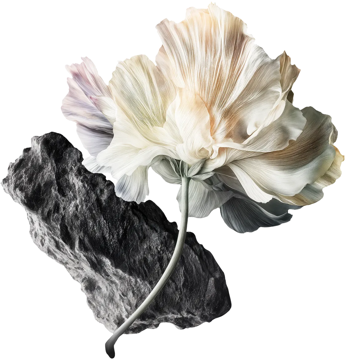 парад квартир